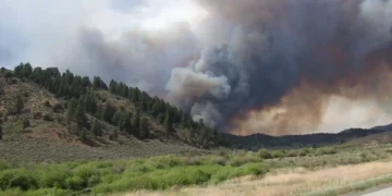 A large wildfire burns on a forested hillside, producing thick smoke that billows into the sky. The scene, indicative of California wildfire trends, is viewed from a nearby road with grassy fields in the foreground.