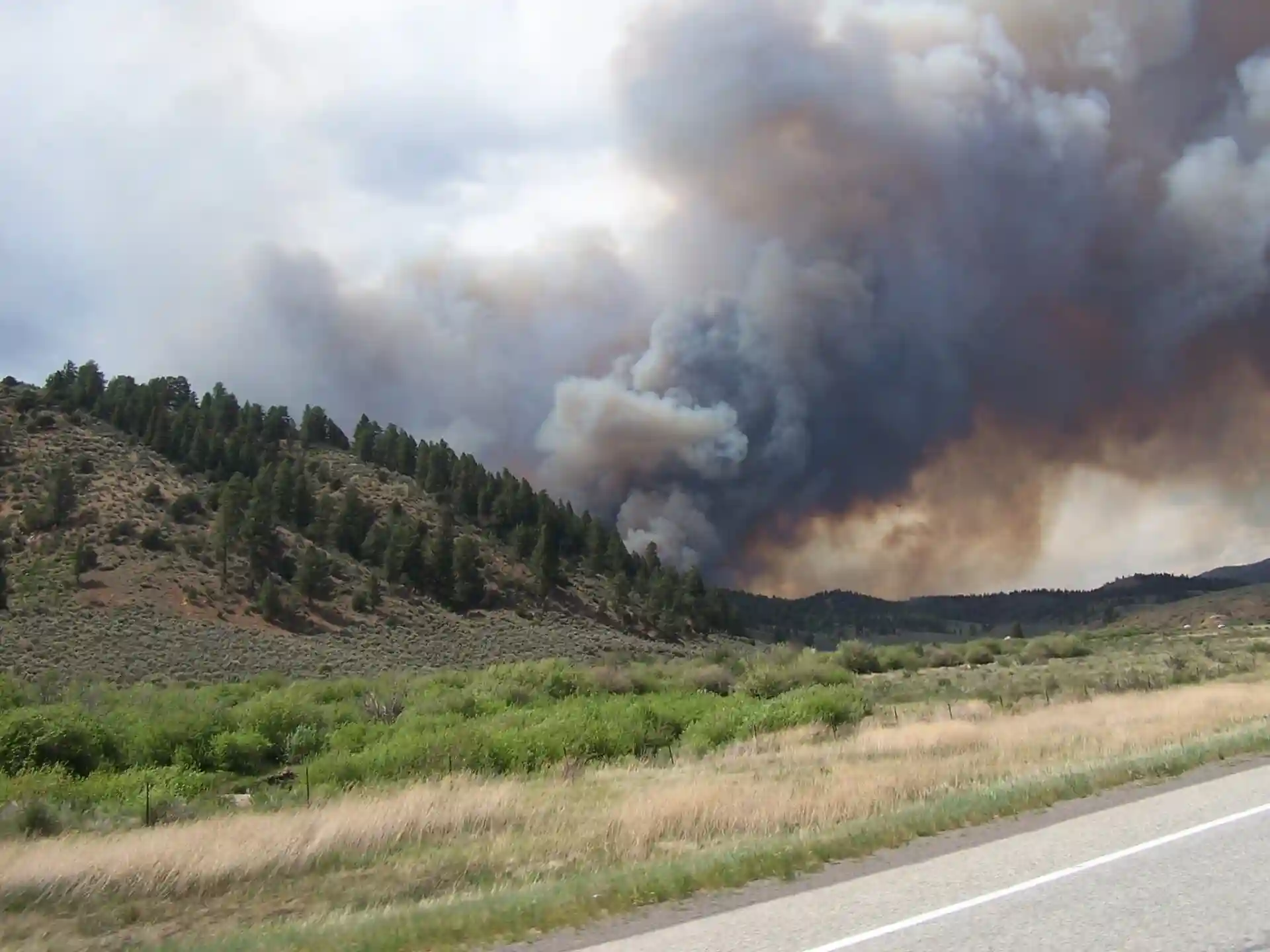 A large wildfire burns on a forested hillside, producing thick smoke that billows into the sky. The scene, indicative of California wildfire trends, is viewed from a nearby road with grassy fields in the foreground.