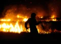A firefighter silhouetted against a raging fire at night, holding a hose and navigating through grass as flames blaze in the background.