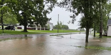A flooded street in Nashville, IL, with standing water covering the roadway. Trees and buildings are visible in the background under an overcast sky, as officials order evacuation due to a nearby dam failure.