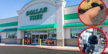 Exterior of a Dollar Tree store with green and white signage in Philadelphia. Red-circled insets show a close-up of feet and a blurred section on the left, as well as a queue of people inside the store on the right.