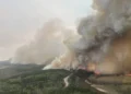 Wildfires Ravage Jasper National Park, Forcing Mass Evacuations