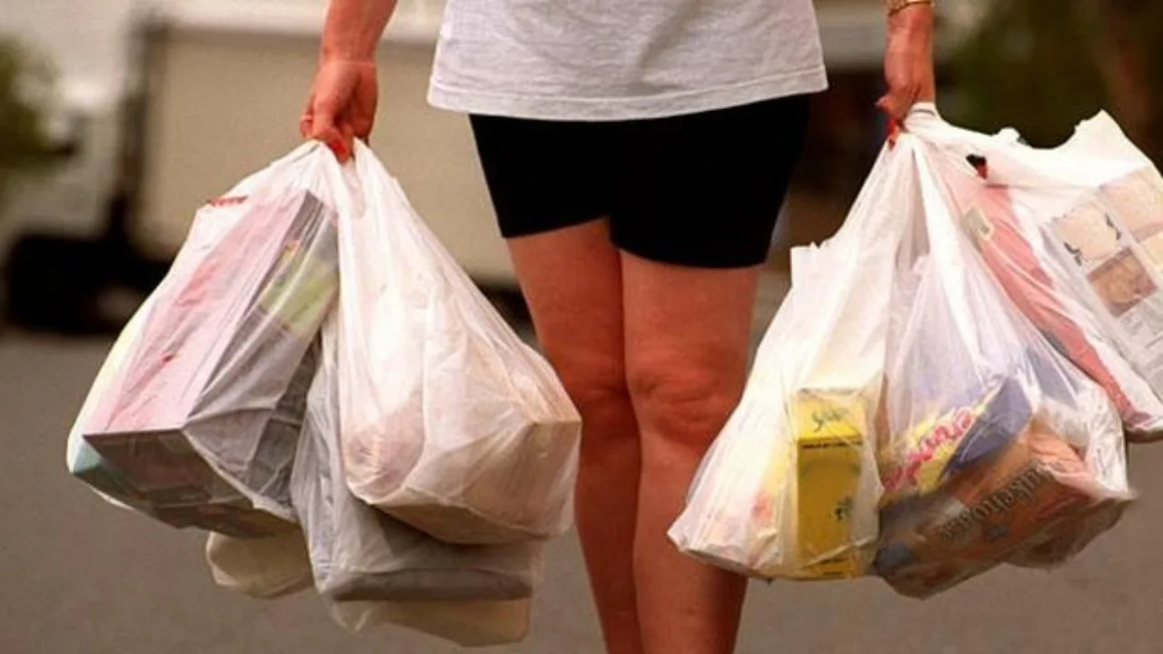 A person wearing a white shirt and black shorts is seen carrying multiple grocery bags in both hands, mindful of California's plastic bag ban aimed at plastic waste reduction.