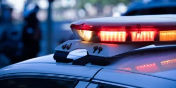 Old Lyme jewelry theft, Connecticut dog-sitter arrest, Westbrook larceny case