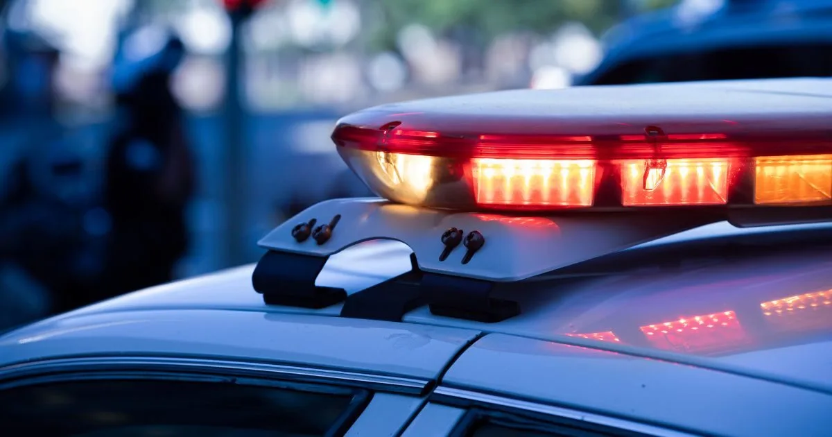 Old Lyme jewelry theft, Connecticut dog-sitter arrest, Westbrook larceny case