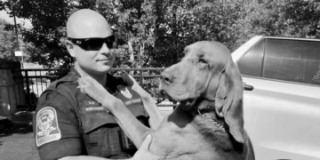 Connecticut State Police K9 Eli, retired K9 Eli, CT State Police dog