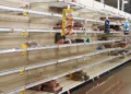 Fairfield, CT, winter storm, residents stock up on supplies, snowstorm preparation, panic buying, grocery hoarding