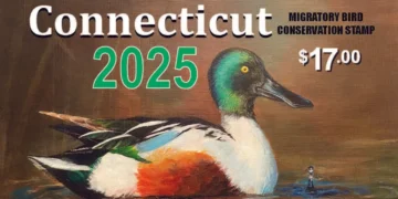 Connecticut Conservation Stamp, Junior Duck Stamp Contest, youth art competition