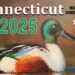 Connecticut Conservation Stamp, Junior Duck Stamp Contest, youth art competition