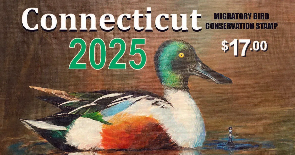 Connecticut Conservation Stamp, Junior Duck Stamp Contest, youth art competition