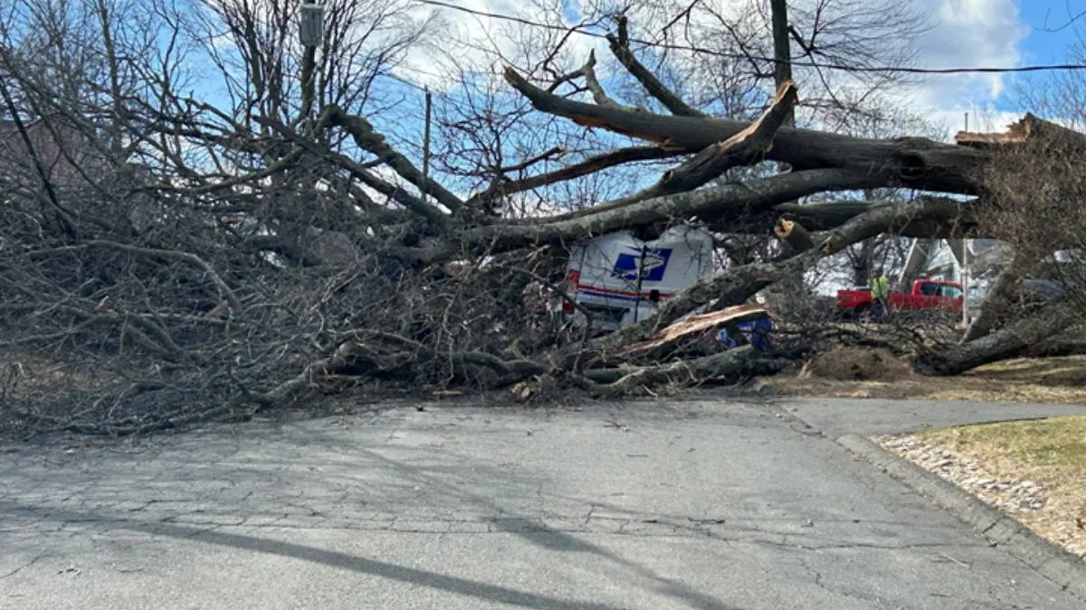 Newington tree fall, power lines down, mail truck accident, Connecticut weather damage