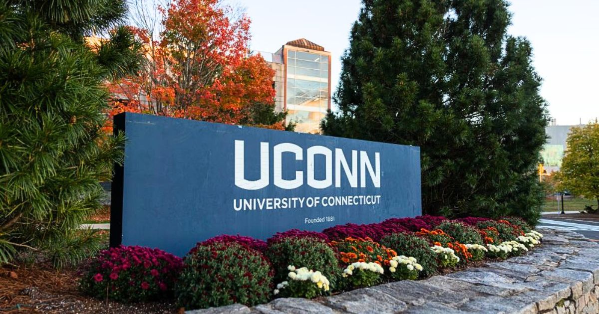 UConn admissions, UConn Class of 2029, UConn application record
