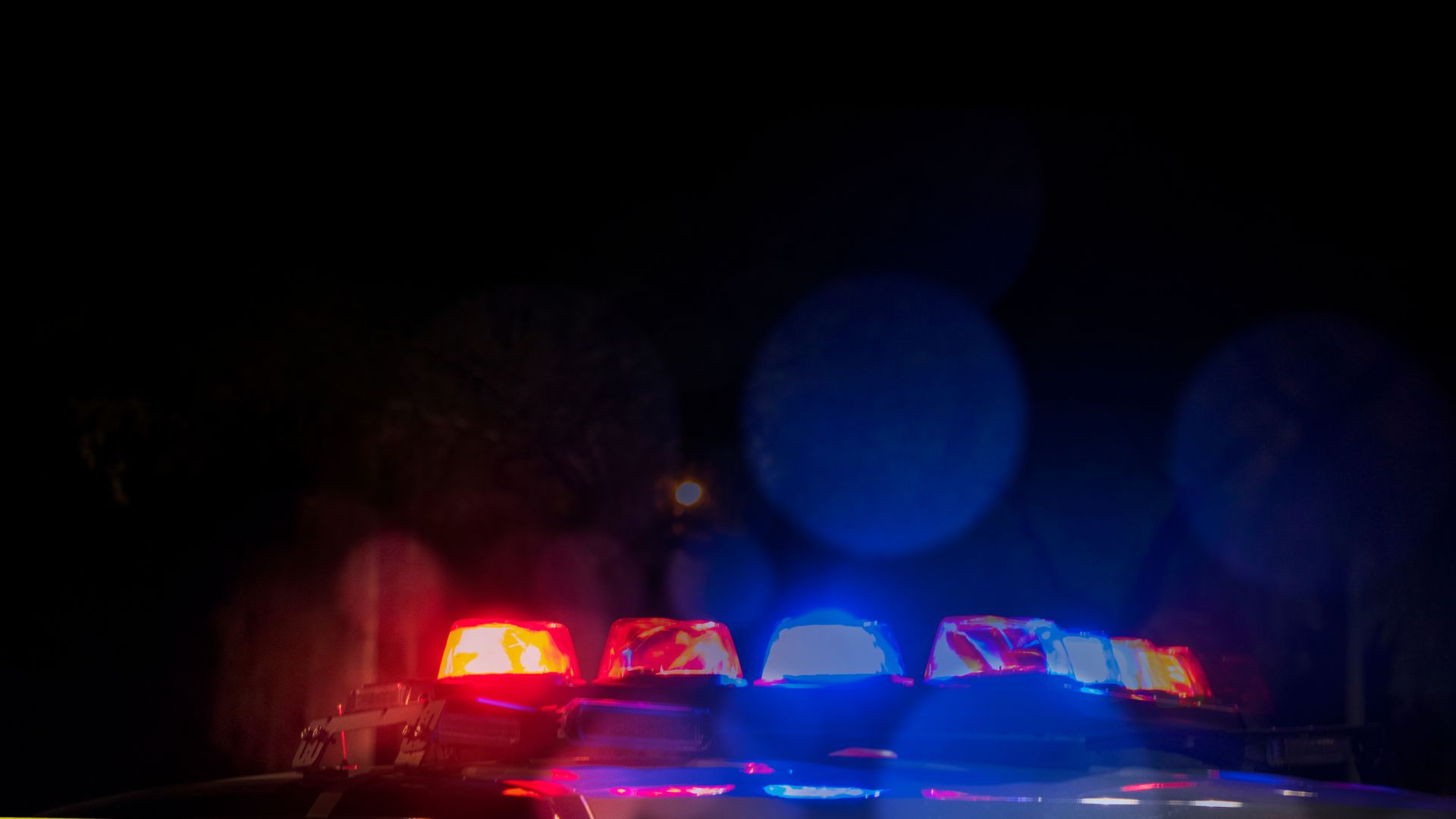 Litchfield assault, baseball bat attack, Connecticut arrests