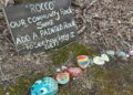 Cheshire rock snake, Farmington Canal Trail, community art project