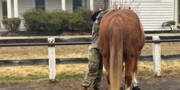 Avon Horse Guard, Governor’s Horse Guard Connecticut, Connecticut militia privatization