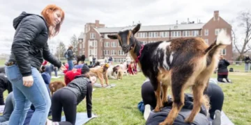 UConn Earth Day 2025, zero-waste barbecue UConn, UConn sustainability events