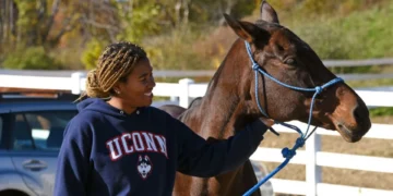 UConn equine science, equine degree Connecticut, horse industry education