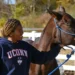UConn equine science, equine degree Connecticut, horse industry education
