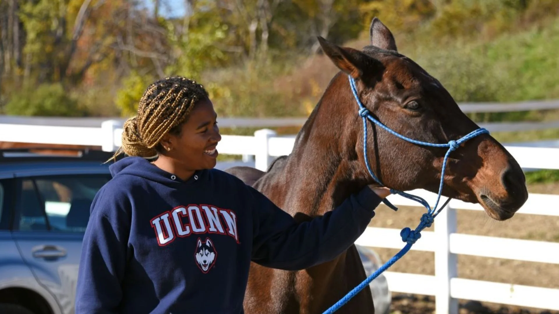 UConn equine science, equine degree Connecticut, horse industry education