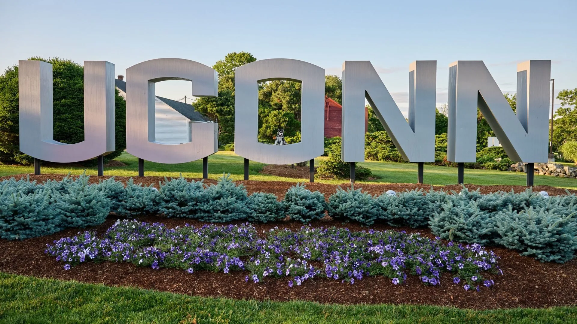 UConn international students, SEVIS termination UConn, Connecticut student visas
