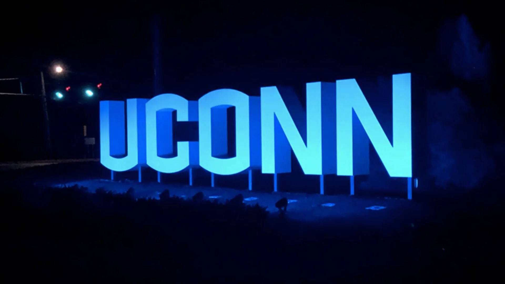 UConn international students, visa restoration, SEVIS termination
