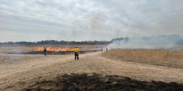 Suffield prescribed burn, Connecticut DEEP fire management, bird habitat fire