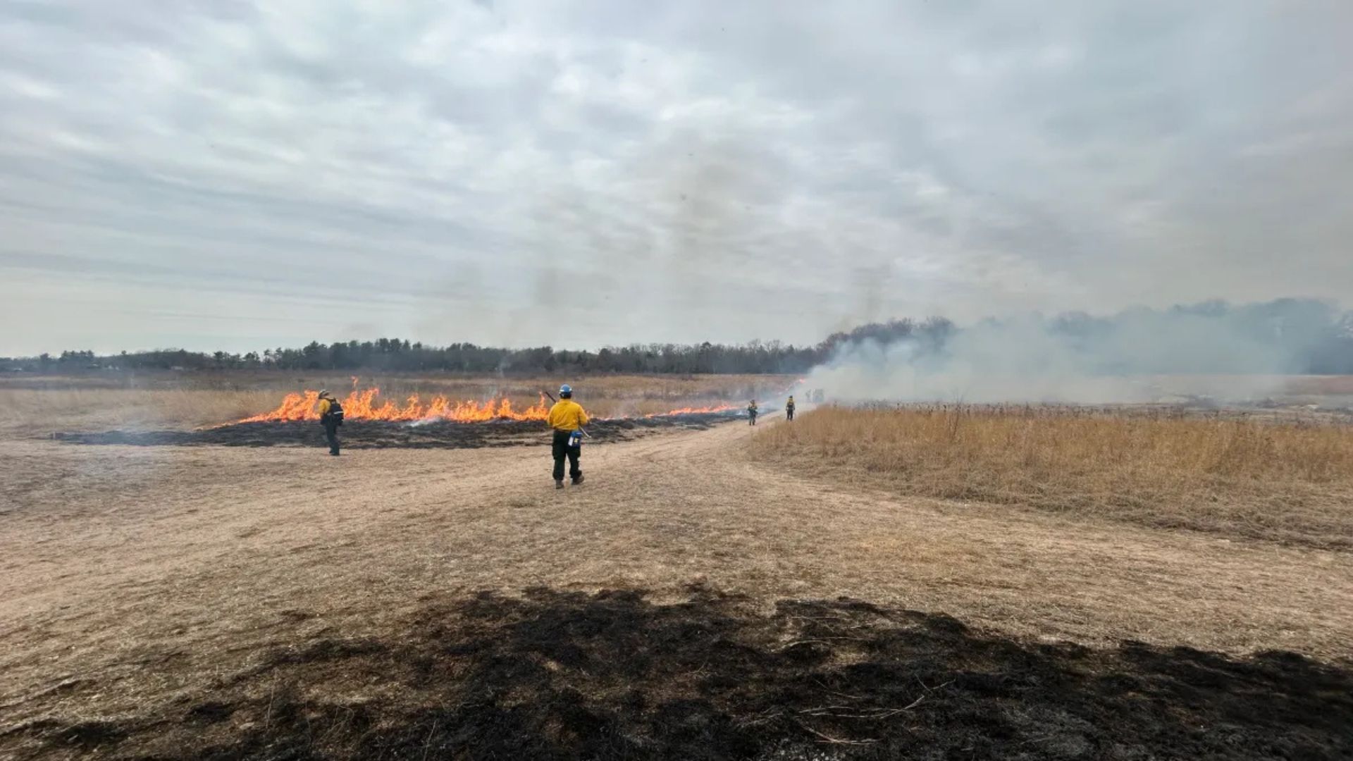 Suffield prescribed burn, Connecticut DEEP fire management, bird habitat fire