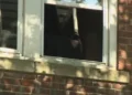 hartford-child-fall-third-floor-window-accident