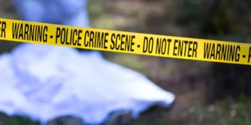 new-haven-woman-found-dead-edgewood-park