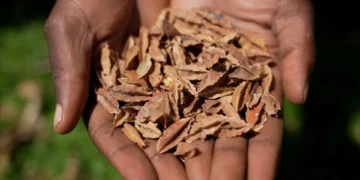 Connecticut unsolicited seeds, USDA seed warning, suspicious seed mailings, CAES alert, seed disposal guidelines