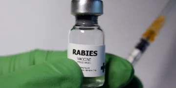 Mystic rabid raccoon, Borodell Avenue rabies alert, Ledge Light Health District