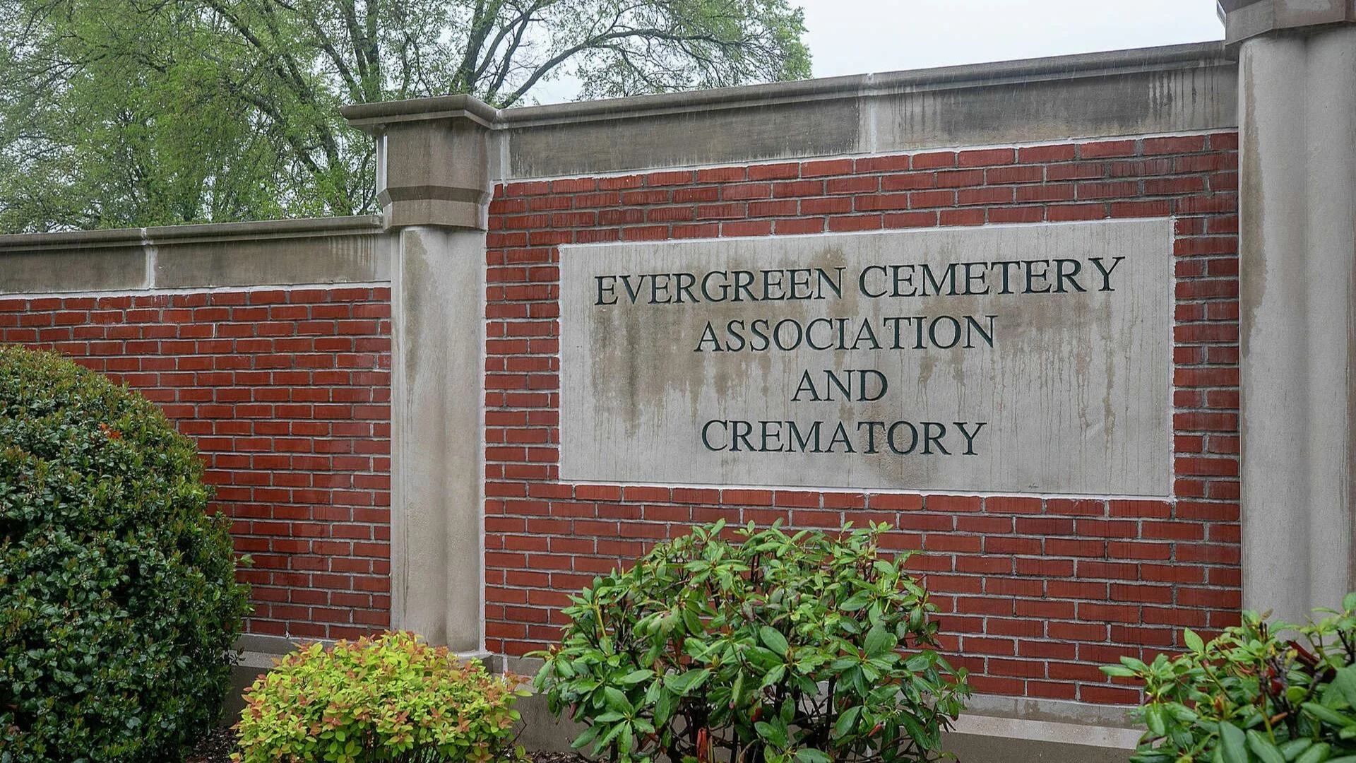 New Haven homicide, Evergreen Cemetery death, Naysha Mendez