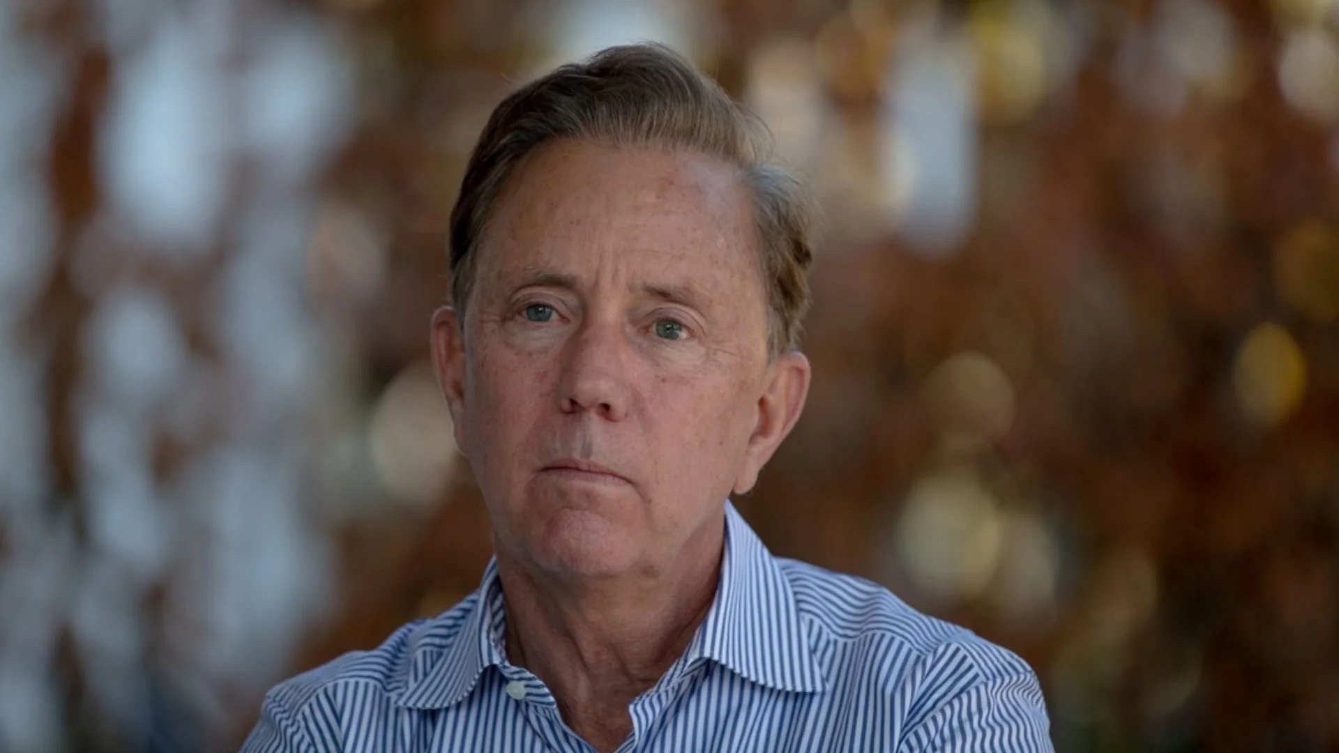 Connecticut animal cruelty reporting, cross-reporting child abuse, Safe Futures Protect Our Pets