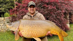 Connecticut state fishing record, Lake Lillinonah carp, Common Carp catch
