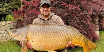Connecticut state fishing record, Lake Lillinonah carp, Common Carp catch